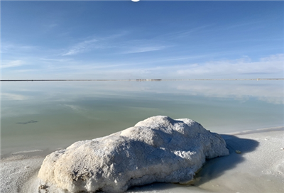 New Car Sales in Europe Fall 3.5% YoY in January 2026, Sharp Drop For Traditi...